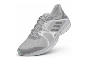 Solid Grey/Matte Silver/White (AQ3552)