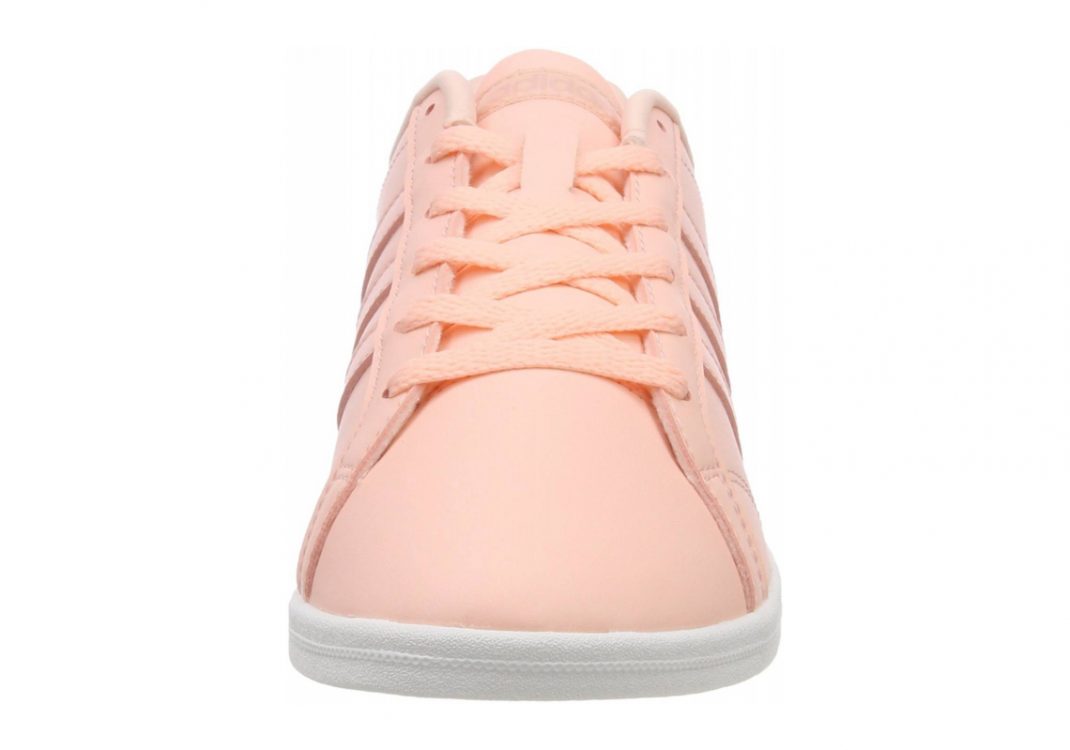 Rosa Corneb Corneb Ftwbla (B74554)