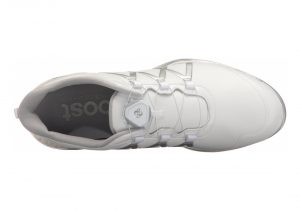 Adidas Adipower Boost BOA - White Silver (Q44745)