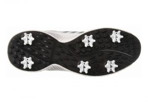 Clear Onix/Ftwr White/Grey (BB7999)