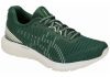 Asics DynaFlyte 3 Sound - Hunter Green / Cream (1011A185300)