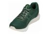 Asics DynaFlyte 3 Sound - Hunter Green / Cream (1011A185300)