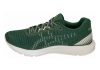 Asics DynaFlyte 3 Sound - Hunter Green / Cream (1011A185300)