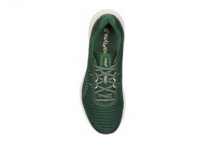 Asics DynaFlyte 3 Sound - Hunter Green / Cream (1011A185300)