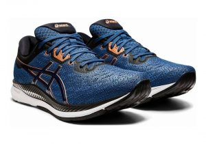 Asics EvoRide