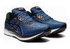 Asics EvoRide -