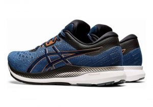 Asics EvoRide - 