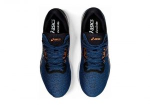 Asics EvoRide