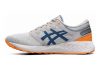 Asics Roadhawk FF 2 Twist - Piedmont Grey/Deep Sapphire (1011A611020)