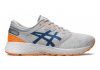 Asics Roadhawk FF 2 Twist - Piedmont Grey/Deep Sapphire (1011A611020)