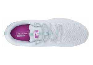 Arctic Fox (WDRNBW1)