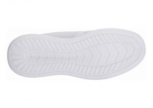 Arctic Fox (WDRNBW1)