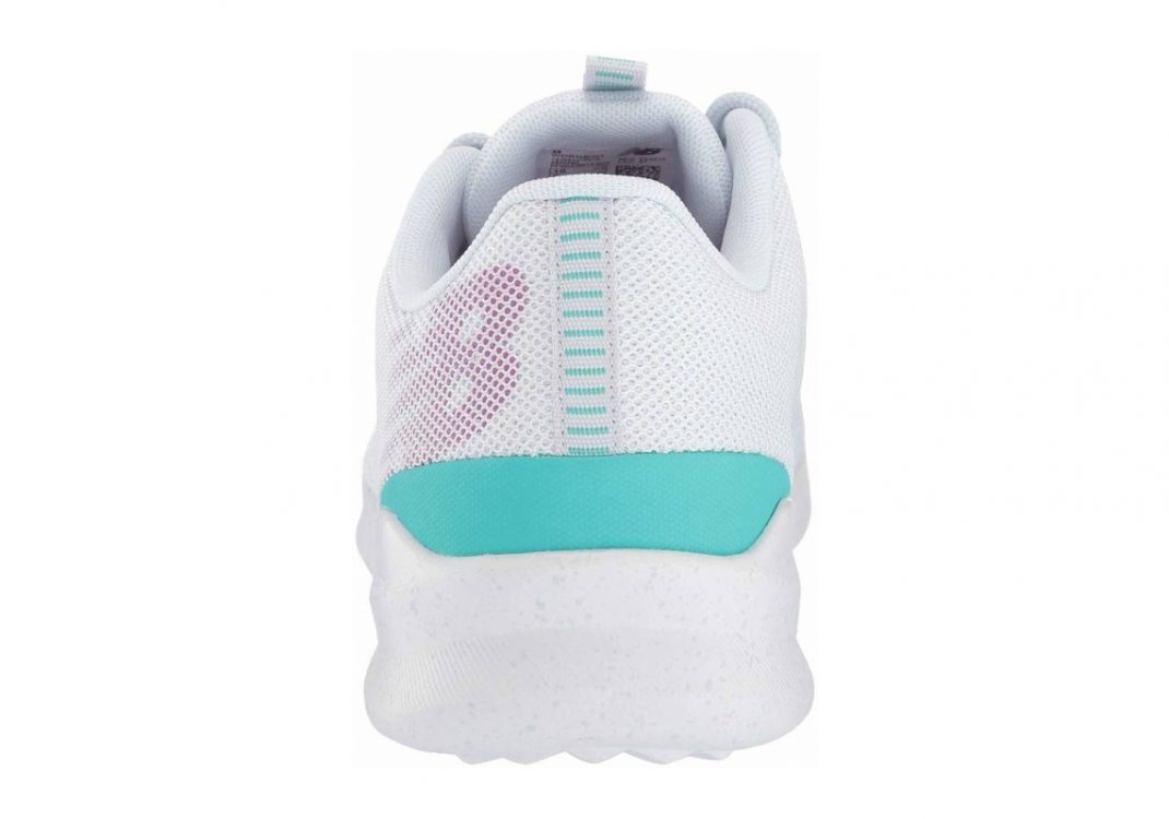 Arctic Fox (WDRNBW1)