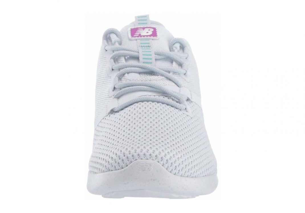 Arctic Fox (WDRNBW1)