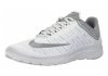 Nike FS Lite Run 4 - Grey (852435100)