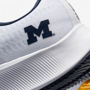 Nike Zoom Pegasus 37 MICHIGAN