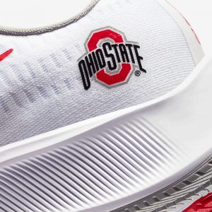 Nike Zoom Pegasus 37 OHIO