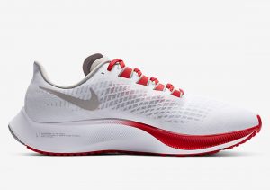 Nike Zoom Pegasus 37 OHIO