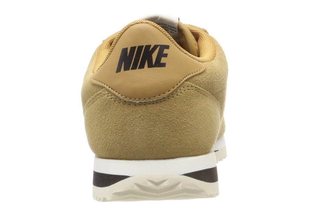 Orange Elemental Gold Black Sail 700 (902803700)