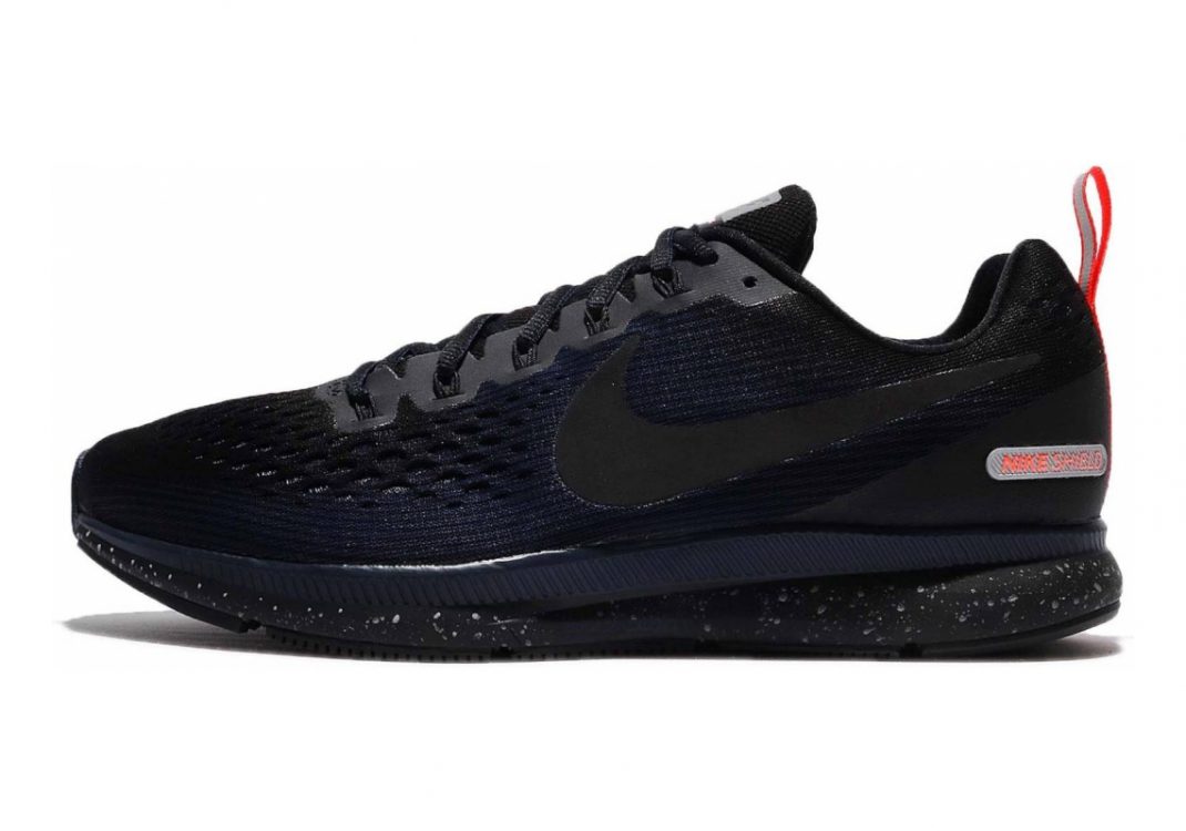 Nike zoom pegasus h2o repel on sale