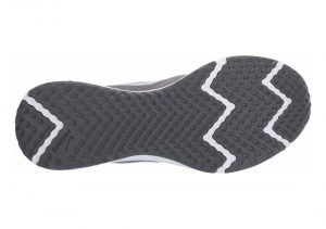 Nike Revolution 5 - Grey (BQ3204005)