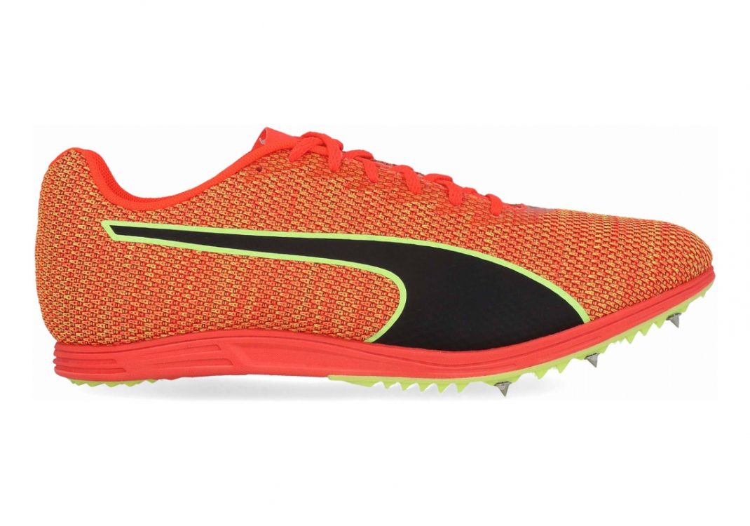 Puma Evospeed Distance 8