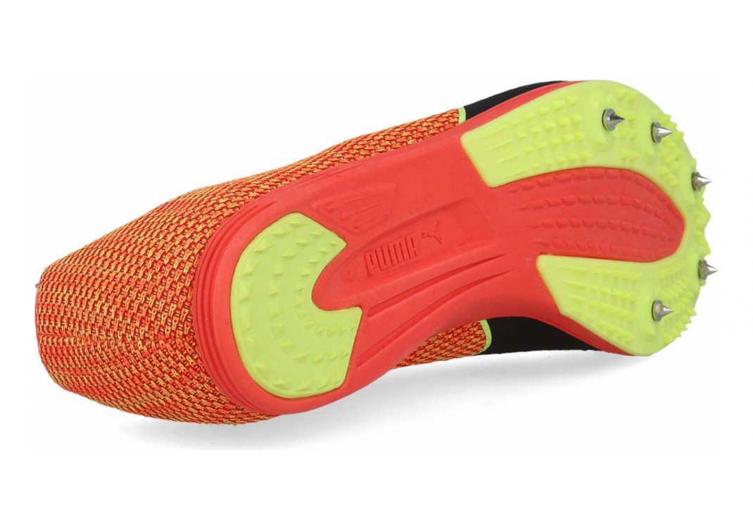 Puma Evospeed Distance 8 - 