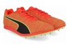 Puma Evospeed Distance 8 -