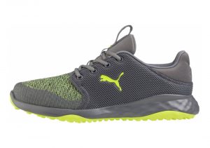 Quiet Shade Limepunch (19120704)