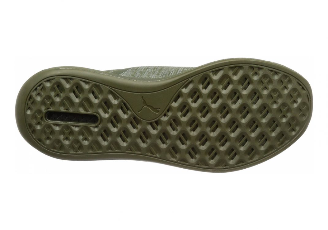 Forest Night (19048403)