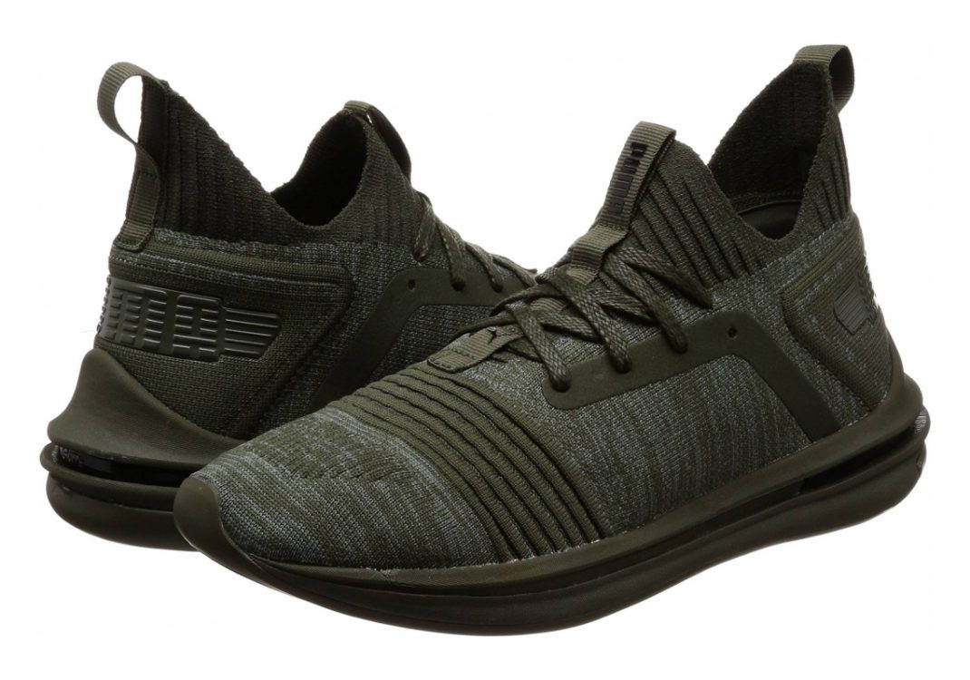 Forest Night (19048403)