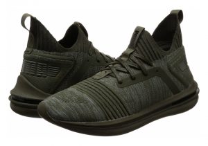 Forest Night (19048403)