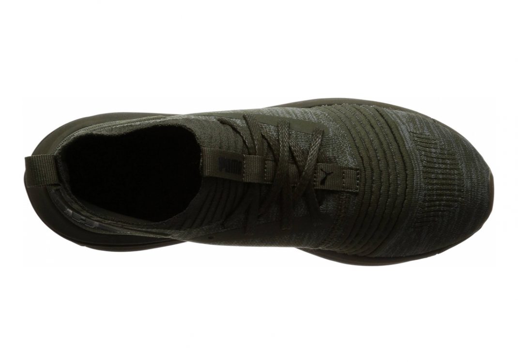 Forest Night (19048403)