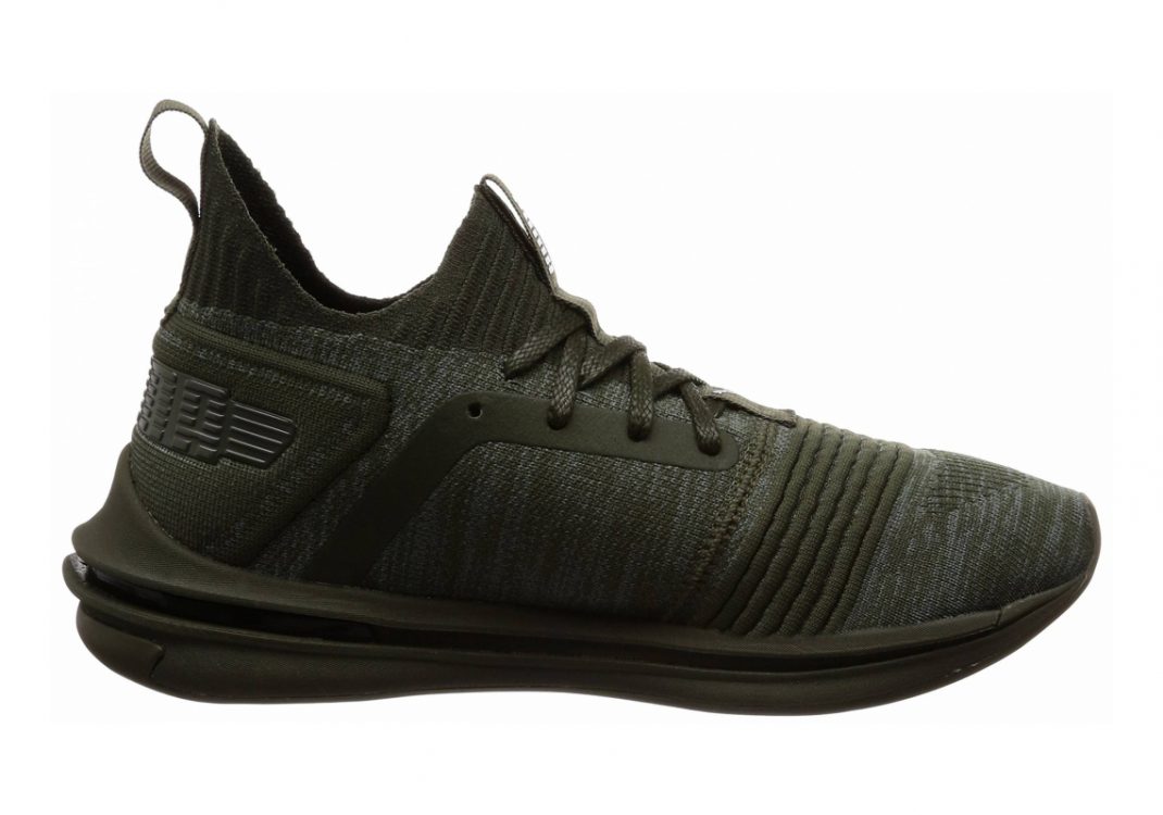 Forest Night (19048403)