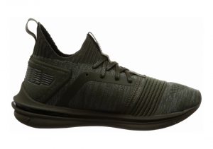 Forest Night (19048403)