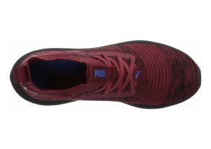 Pomegranate-strong Blue (19048408)