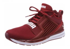 Red Dahlia Puma White (19050303)