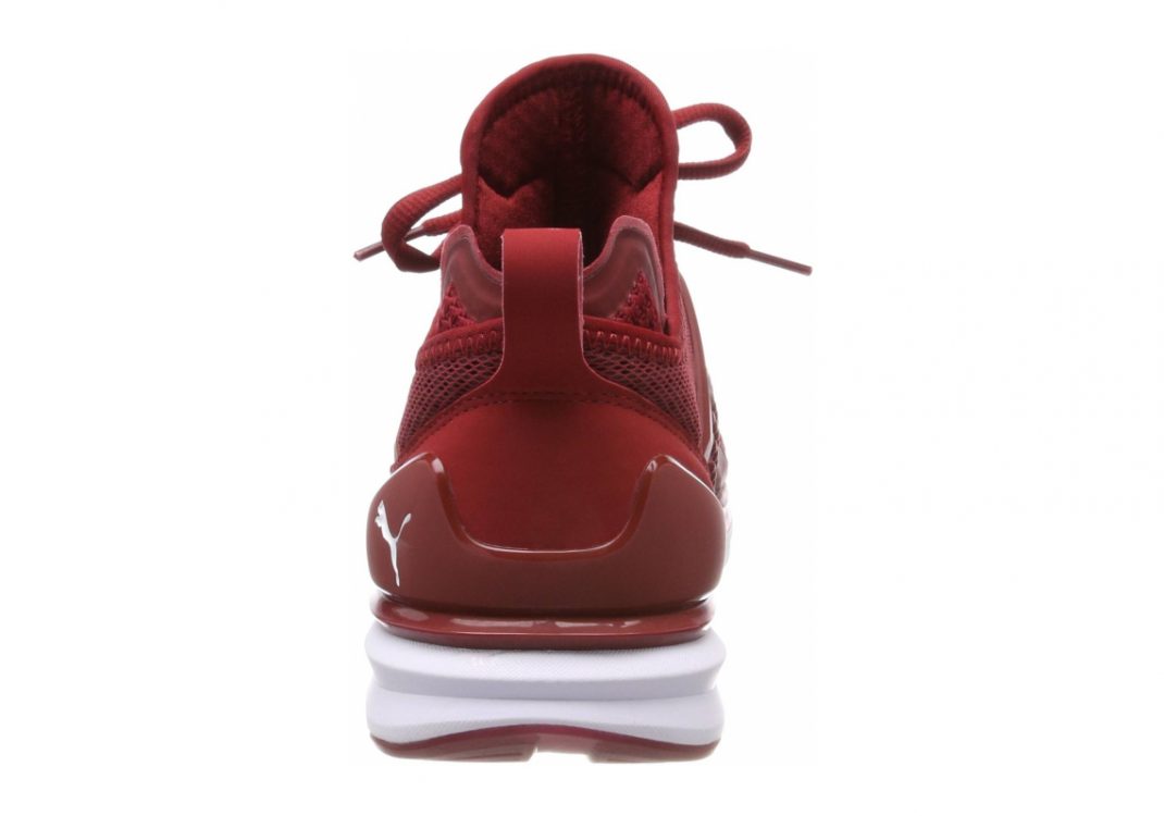 Red Dahlia Puma White (19050303)