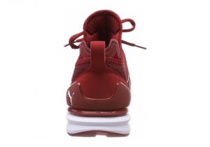 Red Dahlia Puma White (19050303)