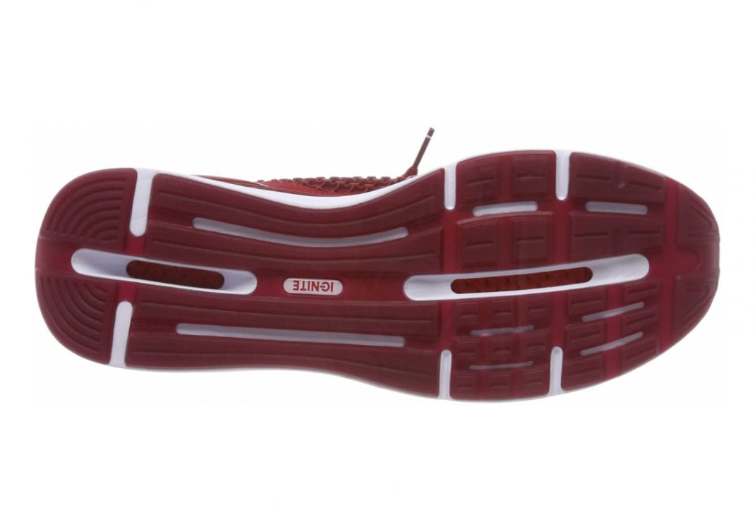 Red Dahlia Puma White (19050303)