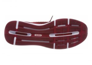 Red Dahlia Puma White (19050303)