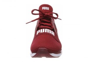 Red Dahlia Puma White (19050303)