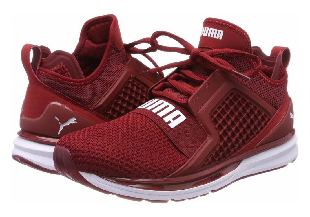 Red Dahlia Puma White (19050303)