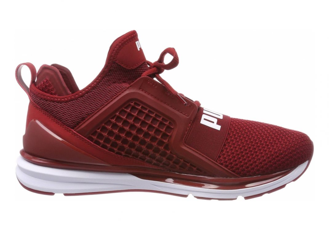 Red Dahlia Puma White (19050303)