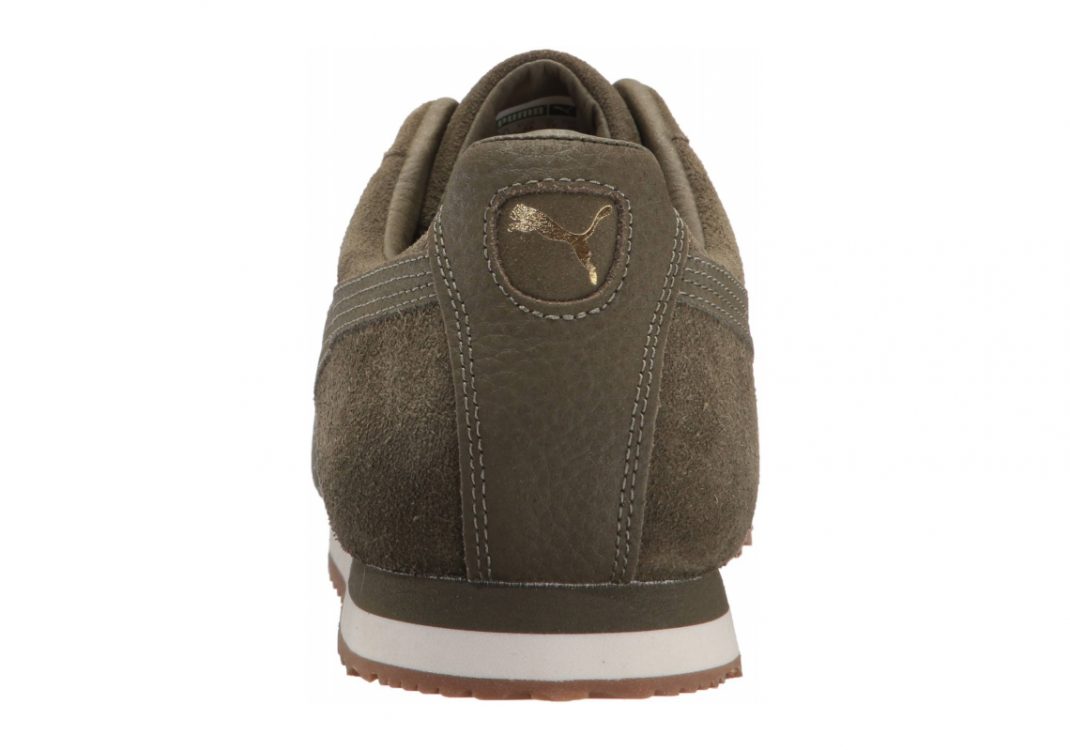 Grün Olive Night Whisper White (36432102)