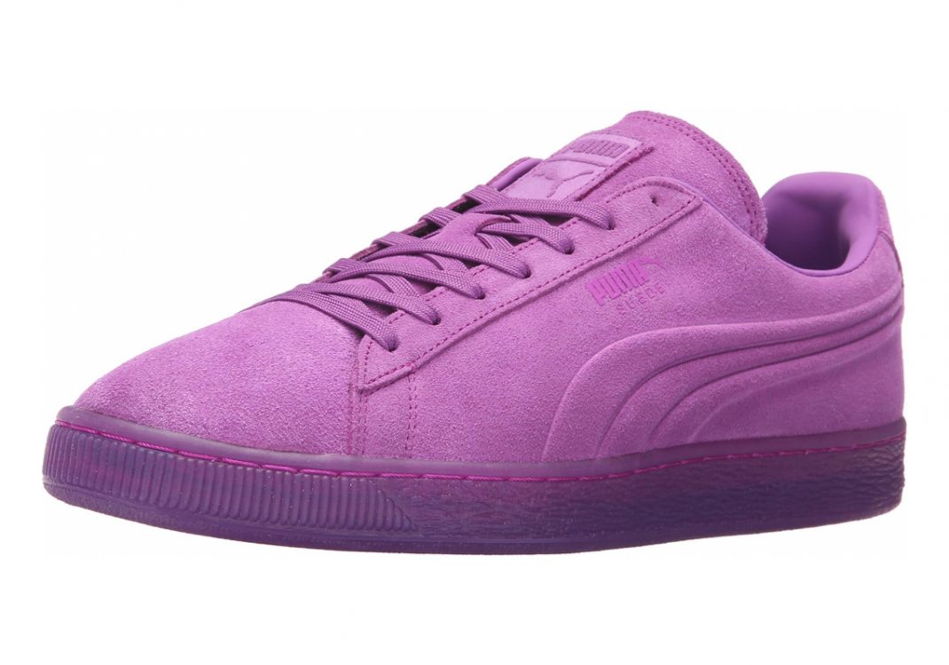 Purple Cactus Flower (36188102)