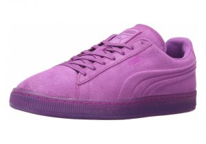 Purple Cactus Flower (36188102)