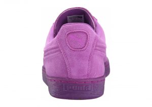 Purple Cactus Flower (36188102)