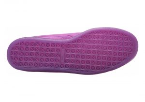 Purple Cactus Flower (36188102)