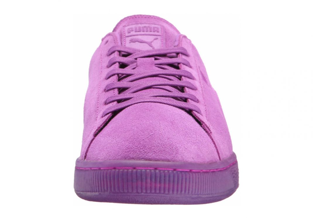 Purple Cactus Flower (36188102)